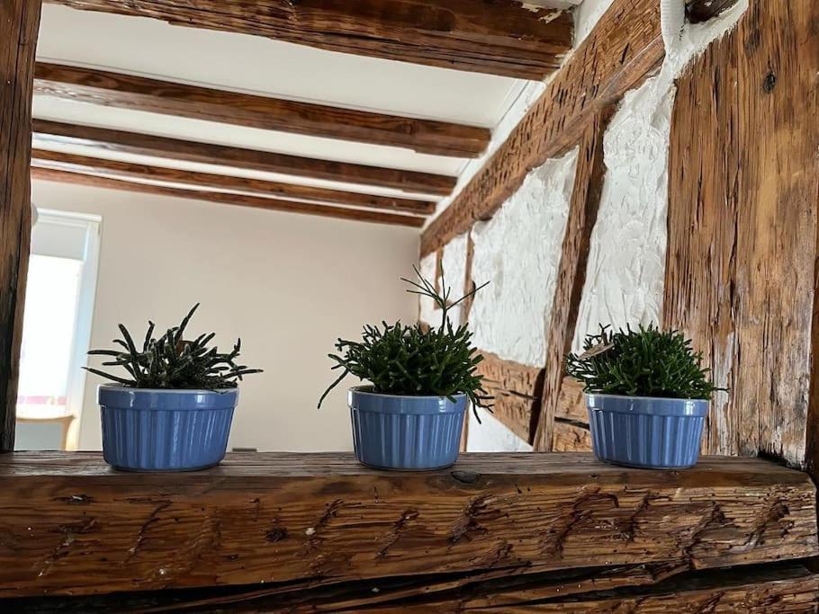 Nouvel Appartement, Le Colombage Heureux