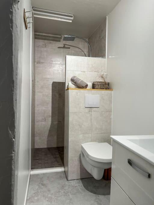 Appartamento Nouvel Appartement, Le Colombage Heureux Sélestat